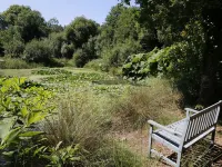 Jane's Place - Homestays