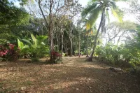 Camino del Sol Hotels in 