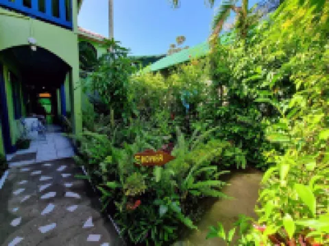 Cabinas Tortuguero Natural Hotels in Colorado