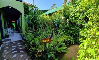 Cabinas Tortuguero Natural