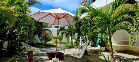 El Sho - Hotel orgánico