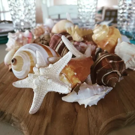 Ocean Views - Comfy Family Home Sleeps up to 10 - Wow