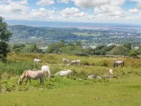 Ffynnon Bach