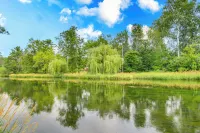 Family-Friendly Home w/ Fire Pit in Pine River - Homestays