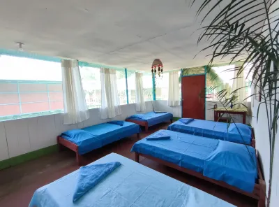 Amazon Nativo Lodge Hoteles en 