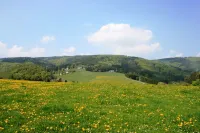 Ferienhaus in Willingen Mit Eigenem Garten - Mountain view