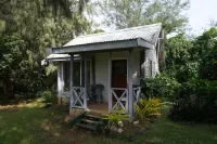 Sasa Nature Lodge Hotels in 