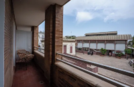 智慧特里亞納橋