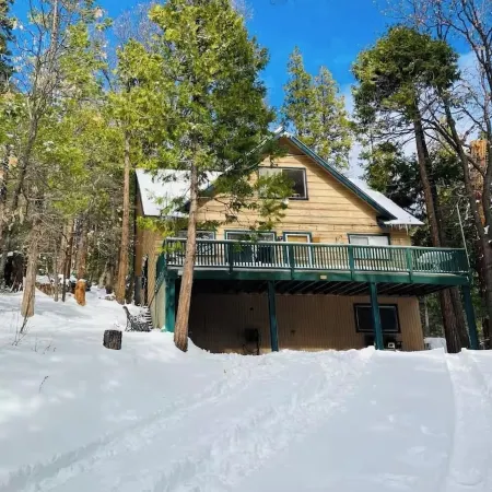 Sequoia Forest Cabin—Lake & River—Ski, Raft, Hike, Bike and More