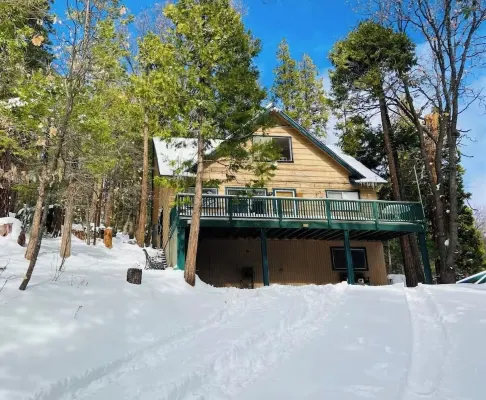 Sequoia Forest Cabin—Lake & River—Ski, Raft, Hike, Bike and More