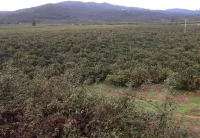 Near Sea and Mountain Hotels in Ghisonaccia