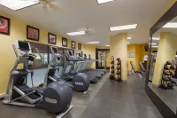 Embassy Suites by Hilton Dallas Frisco Hotel & Convention Center - gimnasio