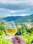 Chateau Bagdati Hotel a Sairme