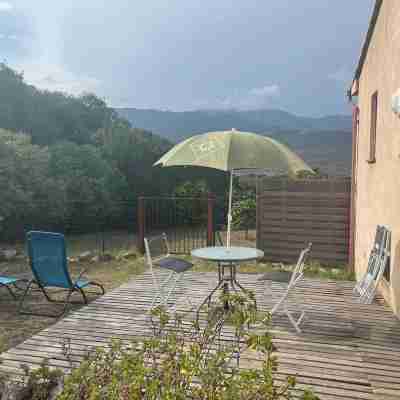 Studio Figari, au Calme Avec Magnifique vue sur la Montagne et les Vignes Hotel Exterior
