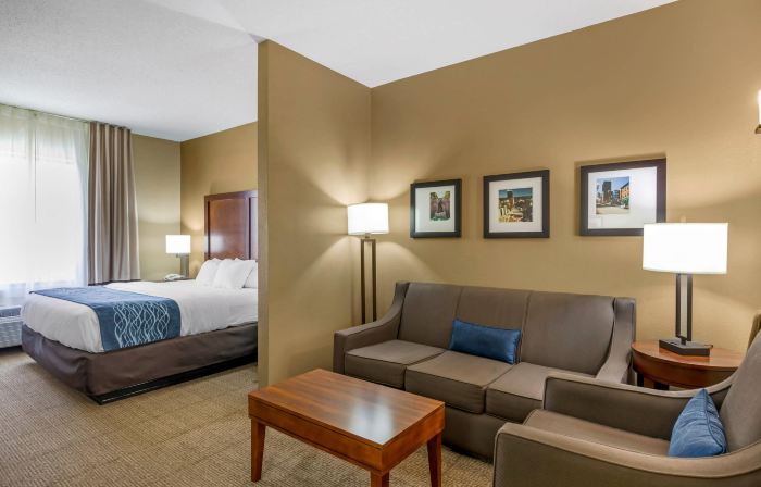 Comfort Inn & Suites Lynchburg Airport - University Area