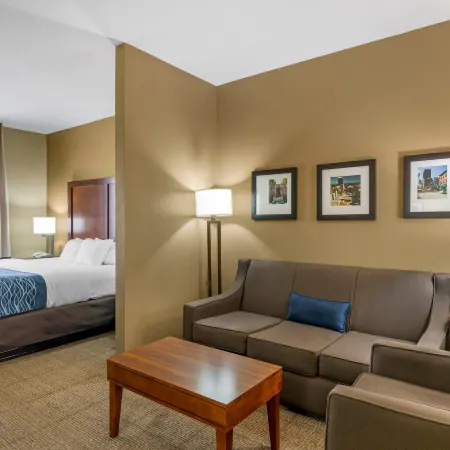 Comfort Inn & Suites Lynchburg Airport - University Area