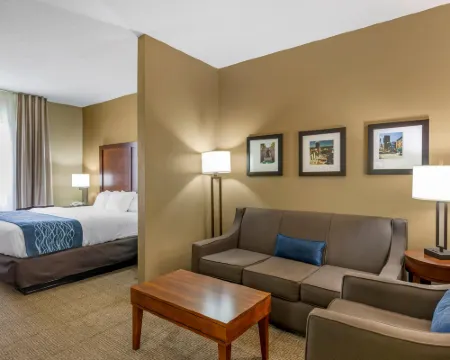 コンフォート イン & スイーツ リンチバーグ エアポート - ユニバーシティ エリア リンチバーグのホテル