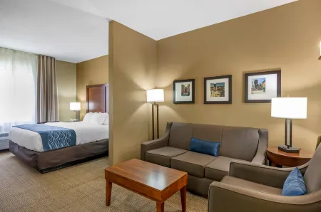 Comfort Inn & Suites Lynchburg Airport - University Area Отели в г. Форест
