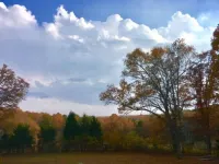 Fisherman's Haven Hotels in Dent County