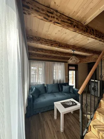 Dreamy House 3 for 5 in Zabljak Отели рядом с достопримечательностью «Жабляк»