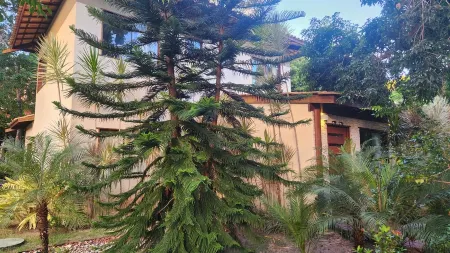 House in Praia do Forte, Refuge, Luxury and Nature