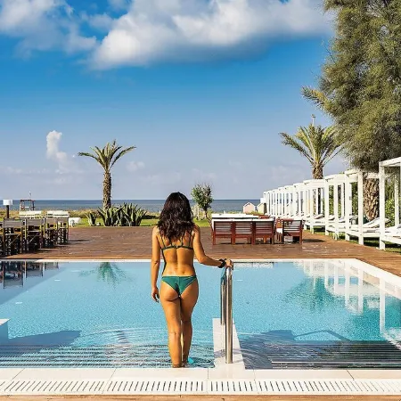 Cozy villa with pool nestled among the ancient olive trees of Cilento