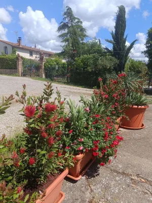 ReginaSerena,8/10 persons. NEWTypical, Ancient Farmhouse, completely restaured