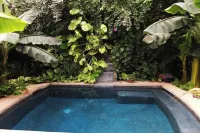 Tropical Secret Garden with heated pool