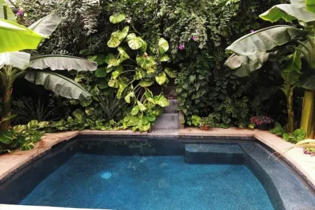 Tropical Secret Garden with heated pool