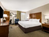 Comfort Inn Virginia Horse Center Hotels in Rockbridge County