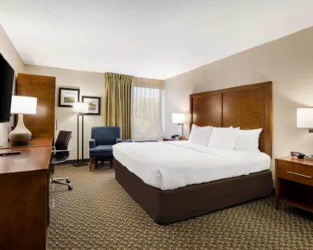 弗吉尼亞州霍斯中心因舒適酒店 羅克布里奇縣酒店