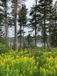 Modern Cozy Cabin On Bonne Bay Pond. 10 min from Gros Morne National Park! Các khách sạn ở Division No. 9 Subd. A