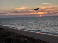 Bunbury's Most Convenient Location Hotels in Pelican Point
