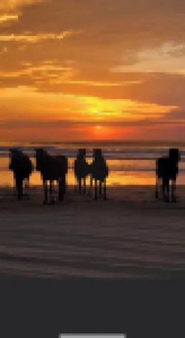 Brand New Beautiful Condo at Beach Club in Corolla,  Steps from the beach!