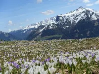 Apartment in Hippach with Mountain Views - 무료 와이파이