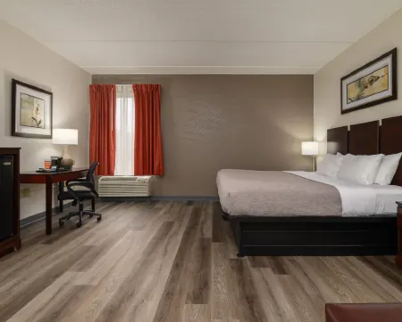 Quality Inn & Suites Hotels in Davidson County