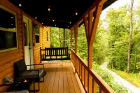 Peaceful Cabin in the Forest with Hot Tub & Views - Hill Haven