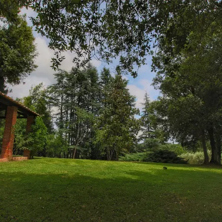 Charming Cottage in Sinalunga