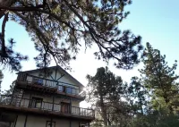Top-Rated Treehouse Retreat with Hot Tub & Mountain Views, Pet Friendly