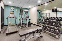 Holiday Inn Express DUBLIN by IHG - Gym