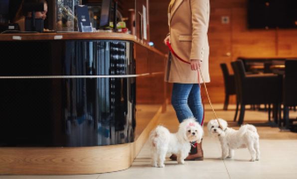 Molo Park Aparthotel