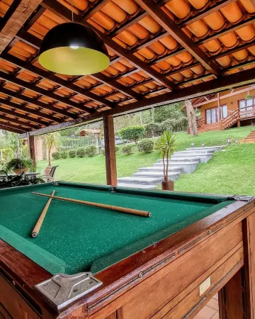 Estilo e Charme em Macacos