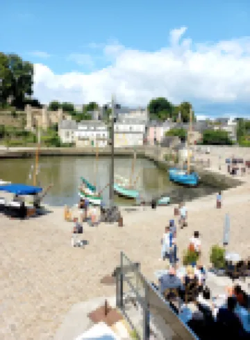Exceptional view of the port of St-Goustan for this renovated 2-room apartmen
