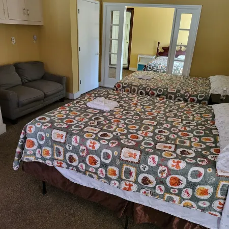 Specious and Cozy Ranch home with moonlight windows near Stone Mountain Park