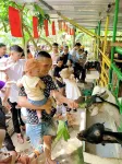 Hue Lotus Homestay