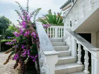 Apartment Nada Hotels in Petrcane