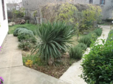 Apartment Dita Hotels in Nin