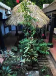 ホテル オアシス マナグア のホテル