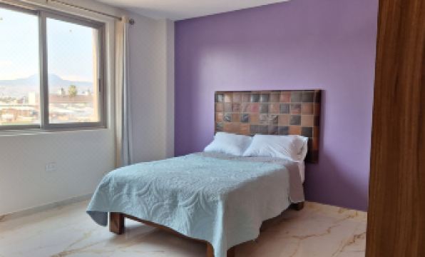 Depas Ocampo de Grupo Casa Mariano