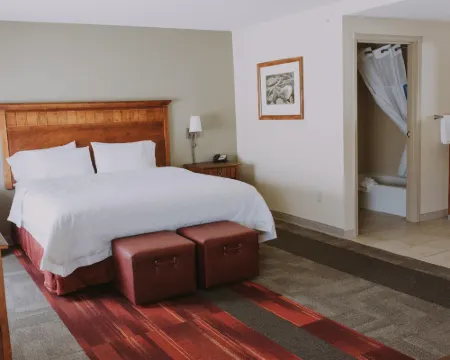 Hampton Inn & Suites Green River Hotels in Green River